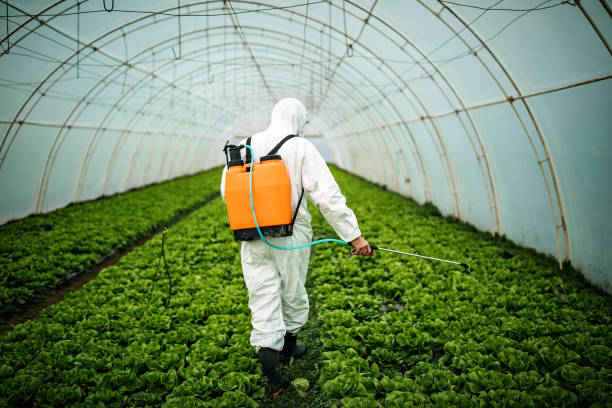 Best Pest Prevention Services  in Fort Scott, KS