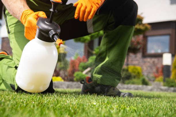 Best Emergency Pest Control  in Fort Scott, KS