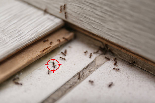 Pest Control for Restaurants in Fort Scott, KS