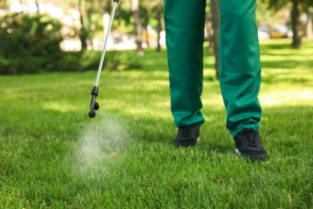 Professional Pest Control in Fort Scott, KS