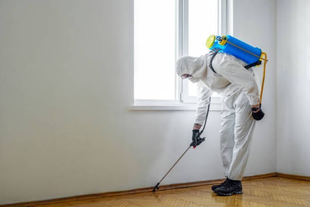 Best Pest Control for Restaurants  in Fort Scott, KS