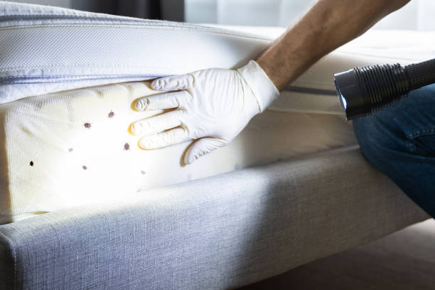 Best Cockroach Control Services  in Fort Scott, KS