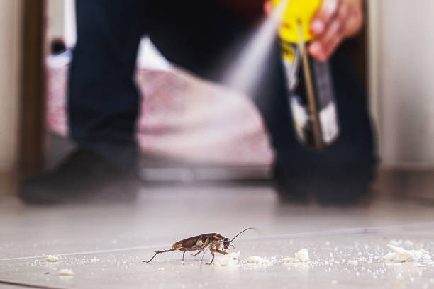  Fort Scott, KS Pest Control Pros
